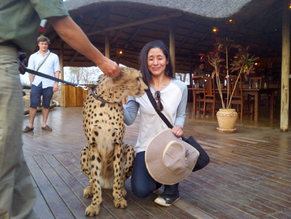 Jehan Begg - getting close to Sylvester the cheetah!